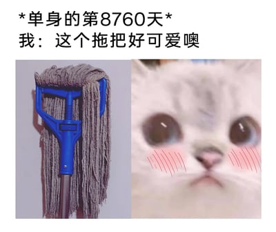这是一张图文混排的搞笑自嘲梗图，上方文字标注“*单身的第8760天*”，8760天换算为24年，用极度夸张的时长来表现单身状态的持久；下方搭配“我：这个拖把好可爱噢”的文字，左侧是一把设计普通的棉线拖把，右侧是一张脸颊泛红、眼神懵懂、表情娇羞委屈的猫咪表情包，通过将普通拖把和花痴的自我状态结合，用夸张的方式调侃长期单身人群审美阈值降低，连日常清洁工具都能产生“可爱”的感觉，用猫咪的娇羞神态生动表现出“我”的花痴状态，充满自嘲和搞笑的氛围，精准戳中单身群体的共鸣点。