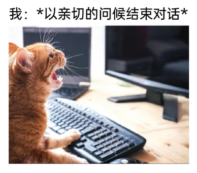 这是一张拟人化的搞笑梗图，画面主体是一只橘色猫咪，它坐在摆放着键盘和电脑的桌面前，张大嘴巴，表情看起来十分暴躁激动，一只爪子按在键盘按键上，仿佛正在快速输入内容。图片上方配有文字“我：*以亲切的问候结束对话*”，用反差感的方式调侃人们在网络社交或职场沟通中，嘴上说着要用亲切的方式结束对话，实际却带着暴躁情绪、甚至用攻击性的语言收尾的真实状态，充满趣味和共鸣感。