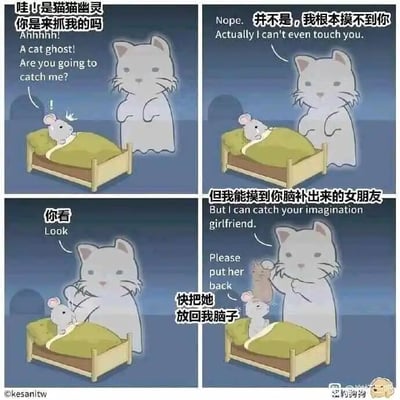 这是一则四格连环卡通漫画，讲述了一只躺在床上的小老鼠，突然看到幽灵猫后惊恐大喊，以为对方是来抓自己的；幽灵猫则摆手表示自己根本摸不到老鼠，随后它抓出一个小老鼠形象，称这是老鼠脑补出来的女朋友；最后小老鼠焦急地恳求幽灵猫把这个脑补的女友放回自己脑子里。漫画通过幽灵猫戏耍老鼠的情节，用脑洞大开的设定制造出搞笑效果，戳中了“脑补女友”的趣味点，让读者感到滑稽好笑。