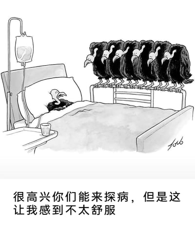 这是一幅黑白手绘卡通漫画，画面呈现了医院病房的场景：一只秃鹫躺在病床上，盖着被子，手臂连接着输液管，床头小桌上放着一杯水，它的神情看起来不安又无奈。在病床的床尾架上，并排站着六只秃鹫，它们都盯着病床上的同伴。画面下方配文是病床上的秃鹫所说的话：“很高兴你们能来探病，但是这让我感到不太舒服”。漫画利用秃鹫以腐肉为食、等待猎物死亡的天性，将探病场景与秃鹫的习性结合，制造出荒诞的黑色幽默效果，让原本温馨的探病场景变得充满不安感。
