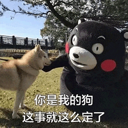 熊本熊