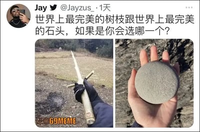 这是一则恶搞选择题的趣味梗图，上面是社交媒体推文的截图，内容问“世界上最完美的树枝跟世界上最完美的石头，如果是你会选哪一个？” 下方两张配图，左侧是一根又直又完整的树枝（被手套手握着），右侧是一块十分圆润光滑的石头（被手拿着）。这种用日常小物件夸张化某种“完美”的风格，本身带有强烈的反差萌与纯真的沙雕感，调侃了人们在生活中对无聊小物件痴迷的童真趣味。没有政治暗示。 

## 双关/谐音梗/暗示说明
此图未涉及直接的谐音或双关，仅通过“选择题”设定和“完美无用之物”的对比制造幽默感。
