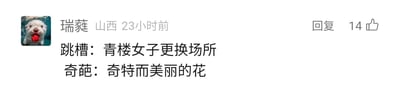 这是一张国内社交媒体平台的用户评论截图，发布者为来自山西的用户“瑞蕤”，发布时间标注为23小时前，该评论获得了14个点赞。评论内容是对两个当下常用的词汇进行了反差式的旧义或另类解读：将如今指代更换工作的“跳槽”解释为“青楼女子更换场所”，将如今用来形容怪异、不合常规的人或事的“奇葩”解释为“奇特而美丽的花”，通过和现代常用语义的反差制造趣味效果。评论的头像是一只吐着红色舌头的水獭图片，整体风格轻松搞笑，属于网友自发的网络趣味内容创作。