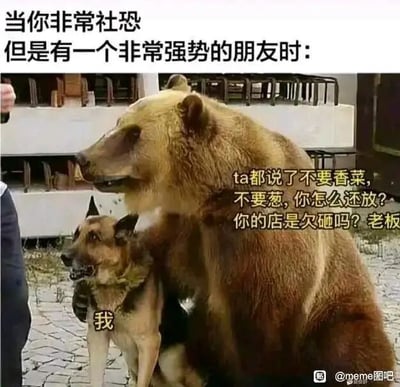 这是一张文字加注的照片改图，上方配有标题文字“当你非常社恐但是有一个非常强势的朋友时：”，图中用一只气势汹汹的熊代表强势的朋友，一只局促不安的狗代表社恐的自己。熊的配文是“ta都说了不要香菜，不要葱，你怎么还放？你的店是欠砸吗？老板？”，狗的配文是“我”，生动还原了社恐人群在面对需要和陌生人沟通（比如点餐提要求）的场景时，不敢自己开口，依赖强势朋友替自己出头的状态，精准戳中社恐人群的共鸣，用夸张的动物形象和对话放大了这种性格反差带来的趣味感。