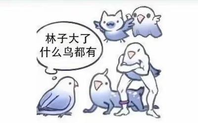 图片为卡通风格，描绘了五只形态各异的蓝色小鸟。其中一只鸟的对白气泡中写着“林子大了什么鸟都有”，其他小鸟则呈现出不同的站立姿势，有的双臂交叉，有的展翅，有的趴在地上，形象生动地呼应了俗语的含义，通过幽默的方式表达“环境复杂则事物多样”的调侃意味。