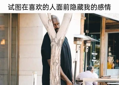 这是一张搞笑的文字加注梗图，图片上方配有文字“试图在喜欢的人面前隐藏我的感情”。图中主体是身材极为高大的前NBA球星沙奎尔·奥尼尔，他躲在一棵纤细的Y形树干后方，仅露出一只眼睛和部分脸部，试图用树干遮挡自己的身体，但由于他的体型过于庞大，这个遮挡行为完全起不到实际的隐藏效果，显得格外滑稽。背景是户外的街边商业区域，能看到店铺的玻璃门窗，还有一位顾客坐在桌边，右侧玻璃上印有“WINE SHOP”的标识。这张图通过强烈的反差感，生动地刻画了暗恋者想在喜欢的人面前掩饰自己的在意，却又忍不住关注对方、藏不住心思的窘迫又可爱的心情，用夸张的方式放大了这种微妙的情绪。