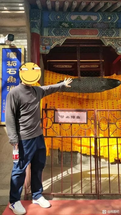 这张图片拍摄于北京潭柘寺内，画面中一名男子的脸部被滑稽的斜眼笑表情遮挡，他右手抬起，做出要触碰围栏内悬挂的石鱼的动作，左手握着一瓶矿泉水。围栏上挂着一块写有“禁止摸鱼”的提示牌，旁边的蓝色牌匾标注着“潭柘石鱼”，背景处还有大量黄色的祈愿条幅。这里的“禁止摸鱼”是双关语，表面含义是禁止触摸这个石鱼，同时谐音职场用语里的“摸鱼”（指上班期间偷懒、不认真工作），将景区提示和职场文化结合，形成了诙谐幽默的效果，让原本普通的景区场景变得充满趣味。