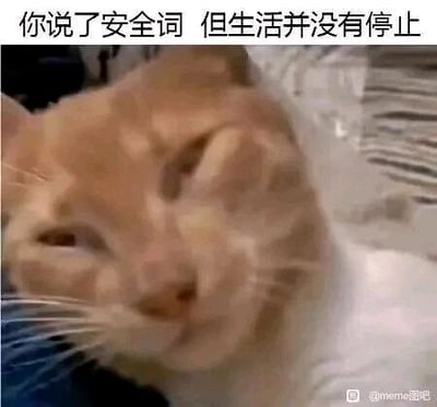这是一张文字加注类的静态表情素材图，主体是一只面部表情扭曲、神态疲惫无奈的橘猫。图片上方配有文字“你说了安全词 但生活并没有停止”，借用“安全词”原本用于叫停某类行为的含义，来调侃现实生活中人们即便想要摆脱疲惫、糟糕的生活状态，也无法如愿，只能被迫继续承受的无力与无奈，精准抒发了当代人面对生活压力的负面情绪，是一张能引发共鸣的网络迷因表情包。