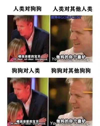 这是一张四格拼接的对比类梗图，通过四个板块分别展示不同对象间的态度反差：左上板块标题为“人类对狗狗”，搭配戈登·拉姆齐温柔看向小女孩的画面，配文“哦我亲爱的宝贝 Oh dear, oh dear. Gorgeous.”，呈现出人类对待狗狗时的宠溺态度；右上板块标题为“人类对其他人类”，搭配戈登·拉姆齐愤怒暴躁的画面，配文“他妈的你个蠢驴 You fucking donkey.”，表现出人类对待同类时的恶劣态度；左下板块标题为“狗狗对人类”，重复了左上的温柔画面与配文，暗示狗狗对待人类时的亲近态度；右下板块标题为“狗狗对其他狗狗”，重复了右上的愤怒画面与配文，暗示狗狗对待同类时的暴躁态度。整张梗图用重复的画面和配文，调侃了人类与狗狗在对待喜爱对象和同类时，都有着相似的巨大态度反差，利用戈登·拉姆齐知名的反差形象，放大了这种幽默效果。