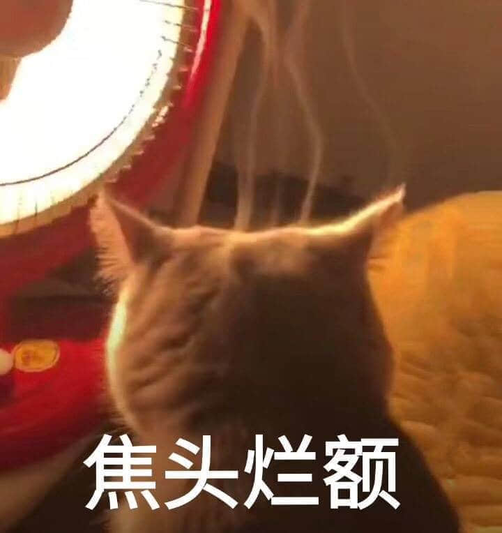 猫咪被台灯照出焦头烂额既视感