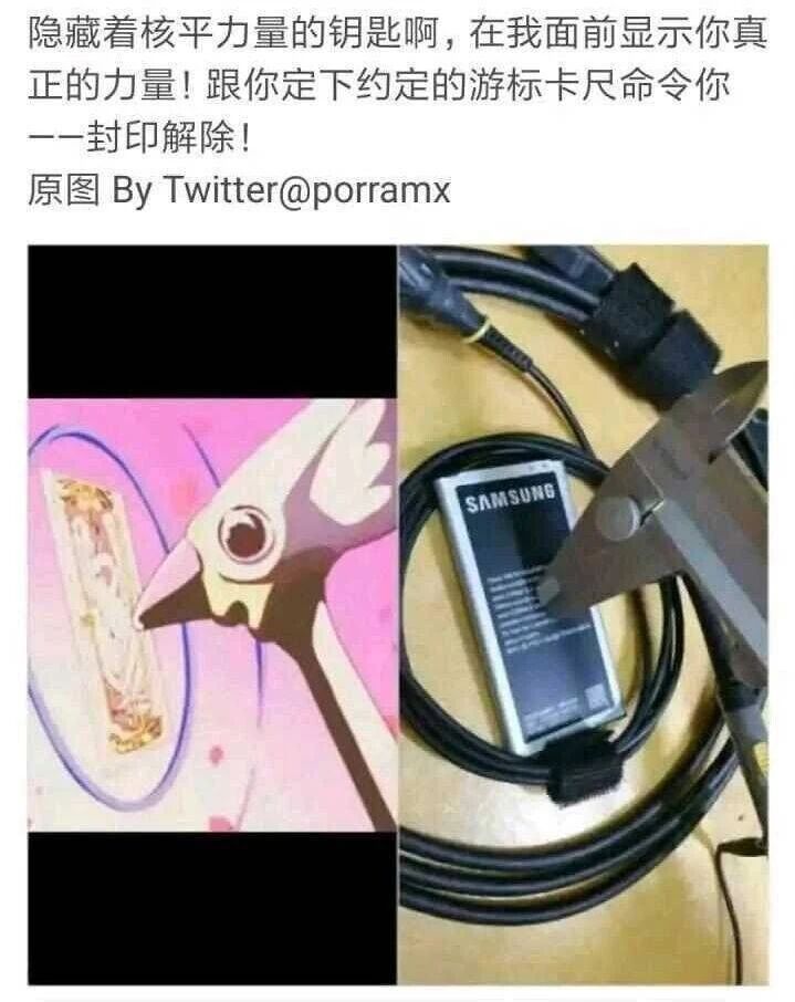 木之本樱