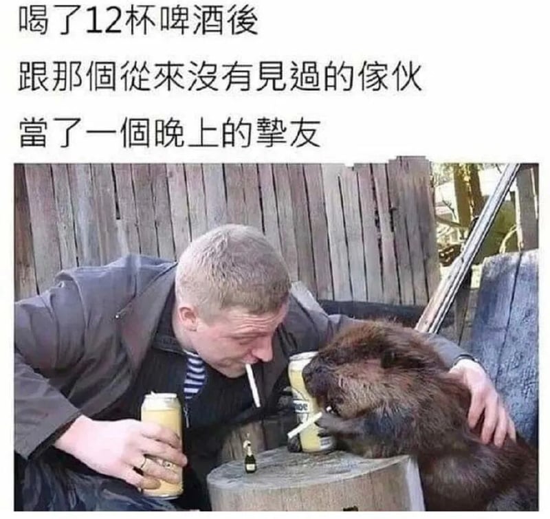海狸