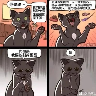 这是一则四格连环漫画，主角是一只灰猫。第一格中，灰猫睁大眼睛，抬起一只爪子，满脸惊讶地畅想自己能免费住在屋子里；第二格中，猫咪兴奋地张开嘴巴、举起双爪，幻想着被收养后能拥有免费三餐点心、人类的关注，还有专属“仆人”清理粪便的美好生活；第三格中，猫咪得知这一切的代价是要被绝育后，表情瞬间变得惊恐绝望，双手放在胸前；第四格中，猫咪一脸生无可恋，用爪子抵着嘴，发出失落的“唔”声。漫画通过猫咪从憧憬到绝望的强烈情绪反差，以幽默的方式调侃了宠物被收养后需要绝育的常见饲养情况，充满趣味。