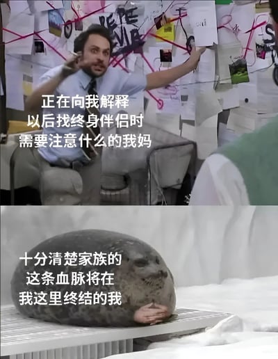 上图为一位男性（代表妈妈）站在贴满纸张、照片和红线的“线索墙”前，表情紧张专注地用手指着墙面讲解；下图是一只海豹慵懒地趴在平台上，眼神放空。通过上下对比，幽默展现“妈妈认真讲解找对象注意事项”与“自己清楚会单身到底”的反差，用自嘲方式表达对婚恋的佛系态度。