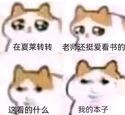 这是一张基于mur猫（流泪猫猫头）表情包二次创作的四格梗图，结合游戏《蔚蓝档案》的内容创作：第一格猫猫头配文‘在夏莱转转’，表现角色在游戏里的学校闲逛的状态；第二格配文‘老师还挺爱看书的’，带着好奇的情绪观察老师；第三格配文‘这看的什么’，表情变得震惊；第四格配文‘我的本子’，表情生无可恋，精准还原了玩家发现自己的私密本子被夏莱老师看到后的社死、无奈又搞笑的心情。
