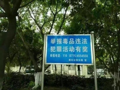 图片呈现了一块设立在户外绿化区域的蓝色宣传标语牌，被茂密的树木枝叶环绕。标语牌以白色字体清晰标注核心内容：“举报毒品违法犯罪活动有奖”，下方附带了两个举报联系方式——110以及区号为0775的固定电话4554558，最底部标注了发布单位“港北公安分局 宣”。背景中可以看到部分建筑和围栏，整体场景是典型的户外公共区域，标语牌的作用是发动群众积极参与禁毒工作，举报相关违法犯罪行为以获得奖励。