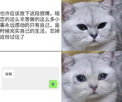 图片为上下两排的多图拼接结构，左侧为文字区域，右侧为猫咪特写。上排左侧文字描述了暗恋者决定放下感情的内心挣扎：“也许应该放下这段感情，暗恋的这么辛苦做的这么多小事永远感动的只有自己，是时候充实自己的生活，忘掉这份过往了”，右侧是一只灰色猫咪眼神严肃、表情凝重的特写。下排左侧为聊天记录截图，显示对方发送“在吗”，自己回复绿色“在”的对话框，右侧猫咪眼神含泪、瞳孔放大，流露出期待与不舍。整体通过文字与猫咪表情的对比，幽默展现了暗恋中“嘴上说放下，身体很诚实”的矛盾心理。
