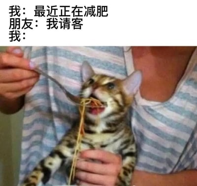 图片上半部分是三行对话文字：“我：最近正在减肥”“朋友：我请客”“我：”，下半部分是一张照片，显示一只虎斑猫被人抱着，正张大嘴巴急切地从叉子上吃面条。通过猫咪无法抗拒美食的样子，幽默地表现了减肥期间面对朋友请客时难以拒绝的真实状态，非常贴近生活中的小挣扎。