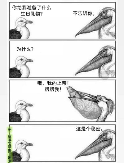 这是一幅四格黑白幽默漫画，以拟人化的动物对话展开荒诞搞笑的情节：第一格中，左侧的小鸟向鹈鹕询问“你给我准备了什么生日礼物？”，鹈鹕淡定回应“不告诉你。”；第二格小鸟追问“为什么？”，鹈鹕未作言语回应；第三格鹈鹕突然张开标志性的巨大喉囊，藏在里面的鱼惊恐地大喊“哦，我的上帝！帮帮我！”，暴露了自己被当作“礼物”的处境；第四格鹈鹕恢复淡定神态，对小鸟说“这是个秘密。”。漫画利用鹈鹕喉囊可储存食物的生理特征，将鱼作为“生日礼物”藏在其中，用“秘密”一词双关“被藏起来的礼物”和鱼的危险处境，通过动物的拟人化表现制造出荒诞反差的搞笑效果。