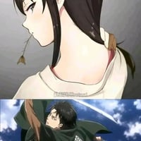 利威尔·阿克曼