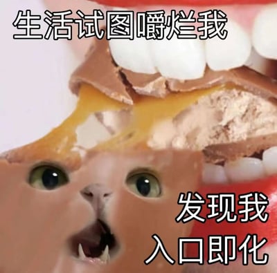 图片为特写镜头，展示一排牙齿正在咬噬一块带有黄色内馅的棕色食物（疑似巧克力），食物被咬开的截面处被巧妙地P上了一张猫脸——猫咪瞪大绿色眼睛，嘴巴张开露出尖牙，表情惊恐。图片上方配有文字“生活试图嚼烂我”，下方文字“发现我入口即化”，通过将“生活的重压”比作“咀嚼”，而“自己”比作“入口即化的食物”，形成幽默反转，用轻松方式调侃生活中的困难。