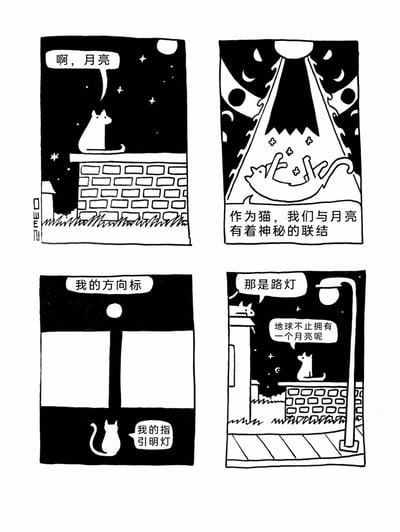这是一幅黑白四格卡通漫画，讲述了一只白猫关于“月亮”的有趣误解：第一格，夜晚，一只白猫坐在砖石墙头上，望着夜空中的月亮感叹道“啊，月亮”；第二格，白猫躺在被月光笼罩的空间里，配文“作为猫，我们与月亮有着神秘的联结”，姿态放松惬意；第三格，白猫在室内，望着窗外的圆形路灯灯光，将其称作“我的方向标”“我的指明灯”；第四格，另一只猫在旁边的墙头上，无奈地指出“那是路灯”，而白猫却一本正经地回应“地球不止拥有一个月亮呢”，充满了脑洞趣味。