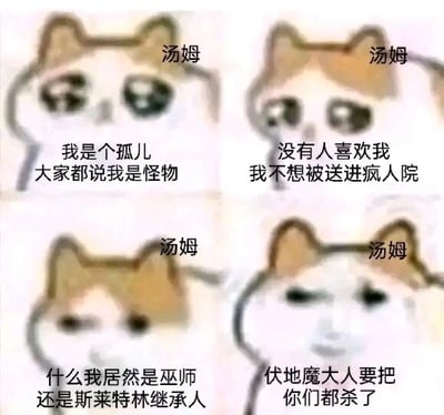 这是一张四格连环的图文混排梗图，使用网络热门的流泪猫猫头表情包作为基础形象，将每个小图的角色标注为“汤姆”，对应《哈利·波特》系列中的汤姆·里德尔（即伏地魔）的人生经历进行剧情改编。前两张图中，汤姆以委屈流泪的表情诉说自己作为孤儿被视为怪物、不被喜爱的悲惨处境，传递出无助的情绪；第三张图中表情转为惊讶，对应得知自己是巫师且是斯莱特林继承人的剧情转折；第四张图表情变得冷酷凶狠，语气转变为凶狠的威胁，形成了从弱势无助到邪恶凶狠的强烈反差感，通过表情包与经典IP剧情的结合，制造出幽默搞笑的效果，调侃了汤姆·里德尔从悲惨孤儿转变为邪恶伏地魔的剧情走向。