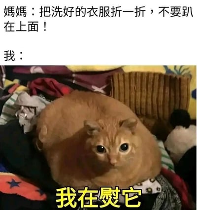 这是一张充满趣味的图文梗图，上方是妈妈的指令：“把洗好的衣服折一折，不要趴在上面！”，画面主体是一只圆滚滚的橘猫，睁着无辜的大眼睛，正趴在一堆待折叠的衣服上，下方配文“我在熨它”。图中用拟人化的方式，将橘猫趴在衣服上的调皮行为，转化为“熨衣服”的借口，偷换概念来回应妈妈的要求，制造出强烈的搞笑反差感，把日常养猫的小趣事包装成诙谐的段子，让人忍俊不禁。