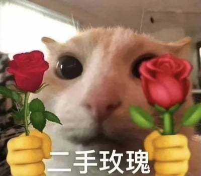 这是一张经过P图改编的趣味网络梗图，画面主体是一只睁着圆溜溜大眼睛的浅橘色猫咪，猫咪脸部占据画面核心位置，神态懵懂无辜。在猫咪的两侧被合成了两个黄色的emoji拳头，每个拳头都举着一支红玫瑰，画面下方配有醒目的白色文字“二手玫瑰”。这张图玩了谐音梗，既贴合图中被拿着的玫瑰呈现出的“二手”状态，又指向国内知名摇滚乐队“二手玫瑰”，用可爱猫咪与搞怪合成元素的反差组合，营造出搞笑又有梗的效果。