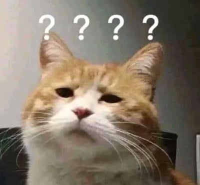 图片中是一只橘白相间的猫，它正直视前方，眉头微蹙，眼神中充满了困惑和不解。猫的头顶上方有四个白色的问号，强化了这种疑惑的情绪。背景是模糊的灰色墙面，使得主体猫咪更加突出。这张图片通常被用作表情包，用来表达对某件事情感到困惑、不解或无法理解的情绪。
