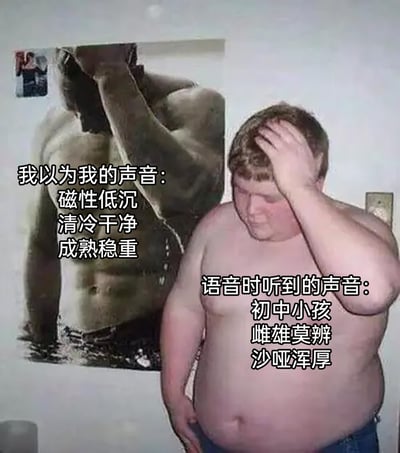 这是一张利用左右视觉反差制造笑点的网络梗图。左侧是一张展示健硕身材、气质冷峻的男性海报，搭配文字描述了人们对自己声音的理想认知：磁性低沉、清冷干净、成熟稳重；右侧是一位身材肥胖、单手扶头、神情懊恼尴尬的男子，对应文字展现了实际听到自己语音时的现实：初中小孩、雌雄莫辨、沙哑浑厚。图中用视觉形象的强烈对比，精准放大了人们对自身声音的自我认知与实际情况的巨大落差，戳中了很多人在听到自己语音时的共鸣，属于自嘲类的趣味创作。