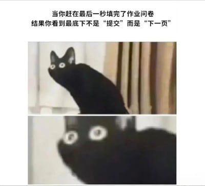 图片上方文字描述了学生赶在最后一秒填完作业问卷，却发现底部不是“提交”而是“下一页”的崩溃场景。下方为两张拼接的黑猫图片：第一张中黑猫抬头，双眼圆睁，露出惊讶表情；第二张是黑猫面部特写，瞳孔因震惊而极度放大，生动展现了从紧张到绝望的情绪转变，完美契合文字描述的突发状况带来的心理冲击。