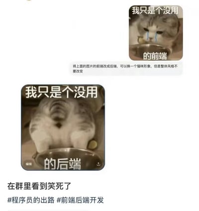 这是一张程序员相关的搞笑梗图，共分为四个部分：上方是原版热门猫咪表情包，画面是猫咪流着蓝色泪水委屈地对着饭碗，配文“我只是个没用的前端”，用来调侃前端开发人员的自嘲情绪；中间是用户提出的修改需求，要求将文案里的“前端”改为“后端”，可以更换猫咪形象但保留整体风格；下方是按照需求修改后的表情包，用猫咪屁股对着饭碗和镜头的图替换了原图，配文改为“我只是个没用的后端”，玩梗效果拉满；最底部是分享者的配文“在群里看到笑死了”，附带“程序员的出路”“前端后端开发”两个话题标签，整体是互联网职场从业者的自嘲搞笑创作。