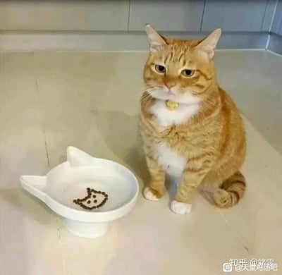 这是一张原始拍摄的静态单图，画面中一只脖子佩戴金色项圈的橘白相间猫咪，端正地坐在浅色地面上，它的表情看起来无奈又委屈，眼神看向镜头方向，仿佛在表达不满。在猫咪身旁，是一个猫耳造型的高脚猫碗，碗内只剩下少量猫粮，这些猫粮被摆成了一个猫咪的图案，和碗的造型、旁边的猫咪形成趣味呼应，营造出一种主人用仅剩的猫粮“敷衍”猫咪的搞笑氛围，既可爱又让人觉得有点心疼猫咪。