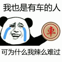 这是一张熊猫头表情包，画面中是一个流着蓝色眼泪的熊猫头形象，上方重复文字“我也是有车的人”，右侧有一个红色圆形印章，内有“車”字，下方文字“可为什么我辣么难过”。整体通过幽默的方式表达了拥有“车”却依然感到悲伤的矛盾情绪，带有自嘲和无奈的意味。