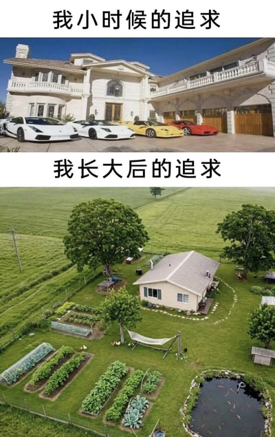 这是一张上下分块的对比梗图，上半部分配文为“我小时候的追求”，展示了一栋大型豪华独栋别墅，别墅前的停车坪停放着四辆不同颜色的顶级豪华跑车，对应了多数人小时候对财富与成功的追求；下半部分配文为“我长大后的追求”，展示了郊外开阔绿地中的小型乡村住宅，住宅周边配有规整的菜园、小鱼塘和休闲吊床，充满悠闲松弛的田园生活气息，整张图表达了随着年龄增长，人们的追求从追逐物质财富转变为向往安逸宁静慢生活的变化，容易引发大众的情感共鸣。