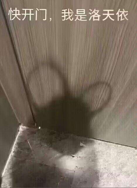 洛天依