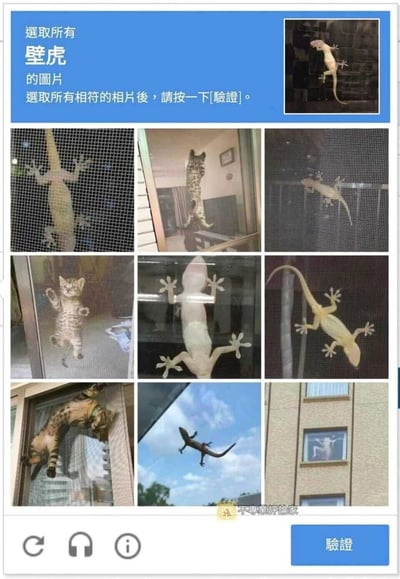 这是一张模仿常见网站人机验证（如reCAPTCHA）的恶搞图片，顶部蓝色区域用繁体中文提示用户“選取所有壁虎的圖片 選取所有相符的相片後，請按一下[驗證]”，下方是3×3的九宫格布局，其中包含8只不同姿态的壁虎（含1张窗户内的壁虎剪影）和3只被P成壁虎贴附姿势的猫咪，猫咪四肢张开贴在玻璃上，和壁虎的形态、姿势高度相似，以此增加“验证”的难度，制造趣味效果，图片底部带有“不專業評論家”的水印，整体风格搞笑诙谐，属于网络趣味创作内容。