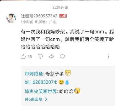 这是一张B站平台的评论区截图，顶部显示该评论下共有22条评论，发布评论的是LV6等级用户“吐槽哥2950957342”，IP属地为广东，发布于1小时前。他分享了自己的生活趣事：和妈妈吵架时自己先说了脏话“cnm”，没想到妈妈也回了同样的脏话，两人当即消气笑喷，还附带了一大串笑声。该评论获得35个点赞，下方还有其他用户的回复，包括用户“带刺咸鱼”调侃这件事是“母慈子孝”并搭配狗头表情，用户“bili_620832074”发布微笑加流汗的表情，用户“惊声尖笑画世界”发“哈哈哈”搭配笑到流泪的表情，下方提示还有共5条回复可展开查看，整体内容轻松搞笑，呈现出反差感的家庭日常趣味。