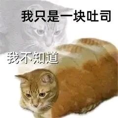 这是一张经过P图改编的搞笑表情包，画面呈现上下布局，上方是一只灰色的猫咪，其上方配有文字“我只是一块吐司”；下方是创意合成的图像，将猫咪的头部与吐司面包的身体拼接在一起，这只合成猫咪表情低落、眼神涣散，无精打采地趴着，其上方配有文字“我不知道”。该图通过荒诞的合成创意与自嘲式的文字搭配，用来表达想要逃避问题、假装自己毫无所知、不愿承担责任的情绪，常被用于职场摸鱼、不想回应他人请求的场景，以幽默的方式传递出逃避、推诿的心态。