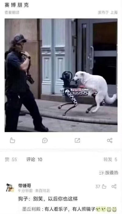 这是一张微博平台的截图内容，主图是真实拍摄的街头场景：一位手持操控设备的人站在街道旁，一只白色狗狗趴在一只带有斑点图案的机器狗背上，姿态如同年迈者借助助行工具。发布者给这张图配上了“赛博朋克”的标题，玩了未来科技与衰老状态结合的反差梗。下方的热门评论中，用户“带锤哥”留言“狗子：别笑，以后你也这样”，另一条评论补充“有人看乐子，有人照镜子”，用幽默的方式戳中了人们对未来衰老、可能依赖机械装置的调侃与潜在焦虑，形成了强烈的共鸣，让原本的巧合场景变成了扎心的梗图。