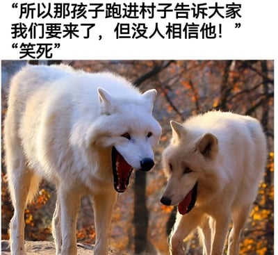 图片上方为黑色文字对白：“所以那孩子跑进村子告诉大家我们要来了，但没人相信他！”“笑死”。下方是两只白色狼站在秋天森林背景中的照片，左侧狼嘴巴大张，仿佛在说话，右侧狼侧头看向左侧，表情配合对话呈现出戏谑感。整体通过狼的视角重现“狼来了”寓言中孩子说真话无人相信的场景，以“笑死”的调侃语气制造幽默效果。