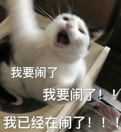 一只白底黑花的猫咪正张着嘴大叫,同时举起一只爪子,表情看起来非常激动和愤怒。图片上叠加了三行文字,分别是'我要闹了'、'我要闹了!!'和'我已经在闹了!!!',表现出猫咪从威胁到实际行动的情绪递进。这张图片通常被用作表达不满、要发脾气或已经开始捣乱的幽默表情包。