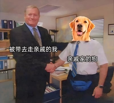 办公室场景中，两个人正在握手。左边的人有人类面孔，标注为"被带去走亲戚的我"；右边的人脸部被替换成了一只微笑的金毛犬，标注为"亲戚家的狗"。这个梗图幽默地表达了许多人在走亲访友时感到的尴尬和不自在，相比之下与宠物互动反而更加轻松愉快。
