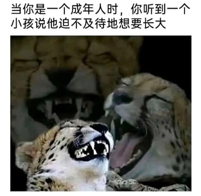 这是一张用来吐槽成长烦恼的网络梗图，图片上方配有文字“当你是一个成年人时，你听到一个小孩说他迫不及待地想要长大”，下方是三只神态夸张的猎豹，它们都大张着嘴巴、露出牙齿，呈现出大笑的姿态。这张图用动物的夸张反应，生动表现出成年人听到孩童渴望长大时的复杂心情：成年人深知长大后面临的生活压力、责任与烦恼，所以对小孩的这种天真想法感到哭笑不得，像是在戏谑地“嘲笑”小孩还未体会到成长的苦涩，用幽默的方式传递出成年人对成长的无奈，以及对孩童时期无忧无虑的怀念，很容易引发成年人群体的共鸣。