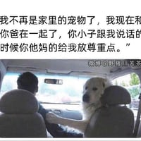 大白狗