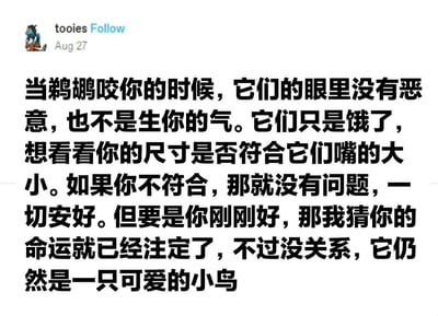 这是一张社交媒体截图，内容是用户tooies发布的一条关于企鹅的幽默帖子。帖子中写道：“当鹈鹕咬你的时候，它们的眼里没有恶意，也不是生你的气。它们只是饿了，想看看你的尺寸是否符合它们嘴的大小。如果你不符合，那就没有问题，一切安好。但要是你刚刚好，那我猜你的命运就已经注定了，不过没关系，它仍然是一只可爱的小鸟”。整体风格轻松搞笑，用拟人化的方式调侃企鹅咬人的行为。