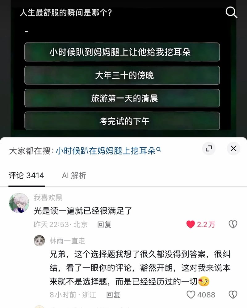 评论区用户；头像为一只猫