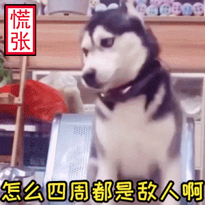 慌张的哈士奇：怎么四周都是敌人啊