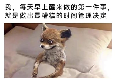 这是一张图文混排的搞笑共鸣类梗图，上方配有文字“我，每天早上醒来做的第一件事，就是做出最糟糕的时间管理决定”，下方是一个制作翻车的狐狸标本，它瘫坐在床上，前爪搭在一起，眼睛圆睁，表情怪异滑稽，仿佛带着懊悔又崩溃的情绪。这张图用诡异又搞笑的视觉形象，精准戳中了当代人早上起床时的普遍状态：明明知道应该合理规划时间、立刻起床开启工作或学习，却总是忍不住赖床、浪费时间，在做出浪费时间的决定后又陷入懊悔，用夸张的视觉效果放大了这种日常的小崩溃与无奈，很容易引发网友的共鸣。